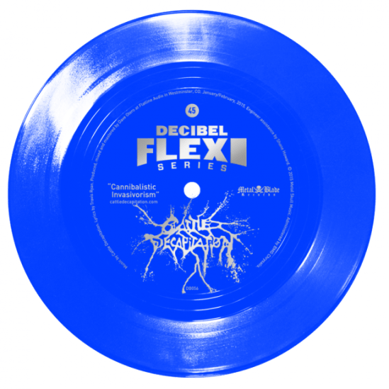 dBFlexi_CattleDecap_056-620x620