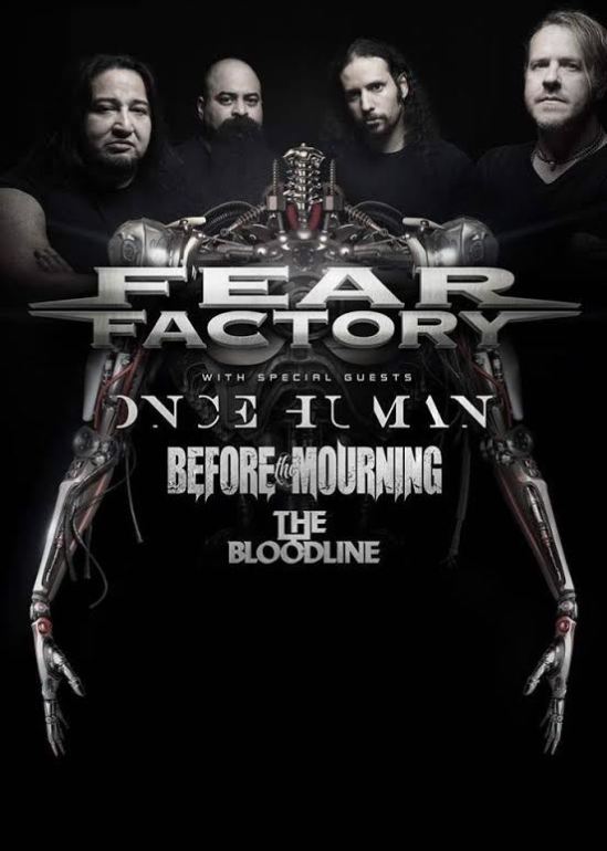 ffbloodlineadmat2015